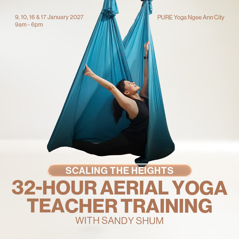 Scaling the Heights: 32-Hour Aerial Yoga Teacher Training with Sandy Shum