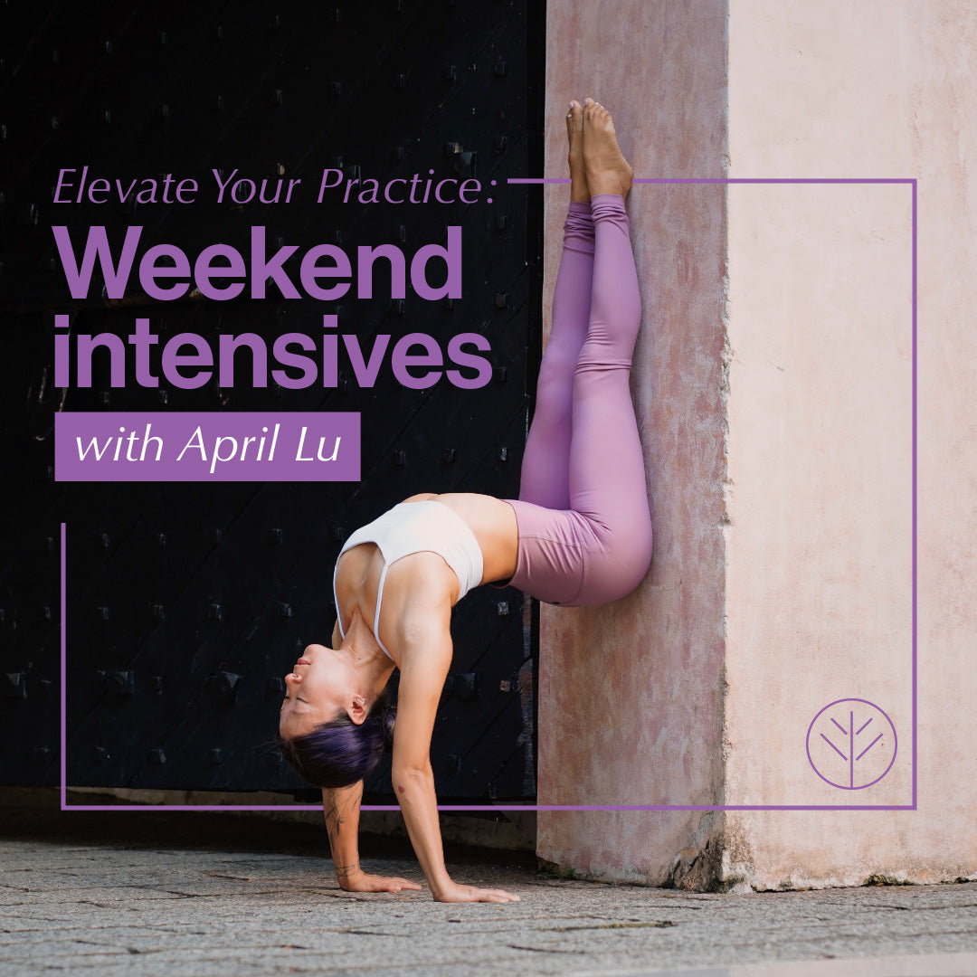 Elevate Your Practice: Weekend Intensives with April Lu