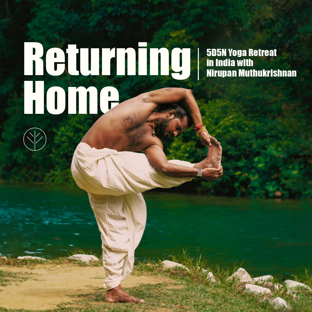 Returning Home: A 5D5N Yoga Retreat in India with Niru (28 Feb - 3 Mar 2024)