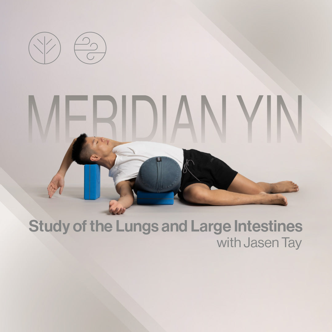 Meridian Yin, Study of the Lungs and Large Intestines with Jasen Tay