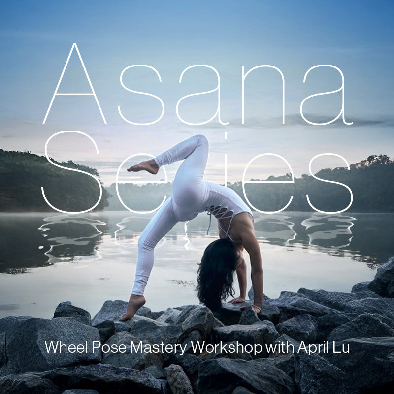 Wheel Pose Mastery Workshop with April Lu