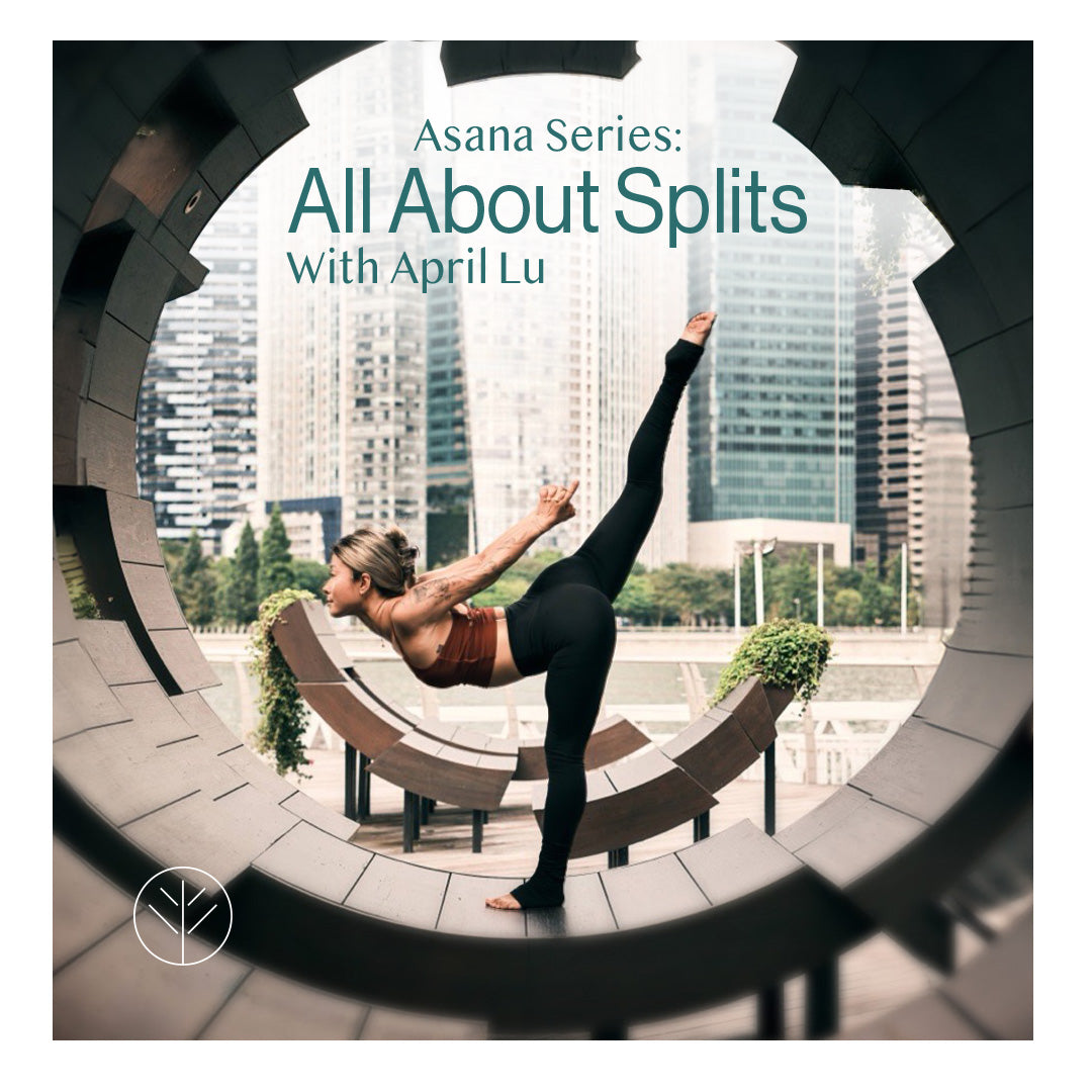 Asana Series: All About Splits with April Lu