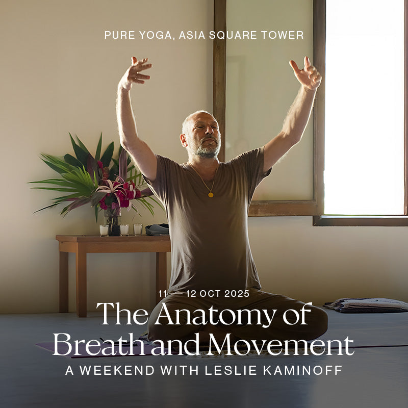 The Anatomy of Breath and Movement: A Weekend with Leslie Kaminoff