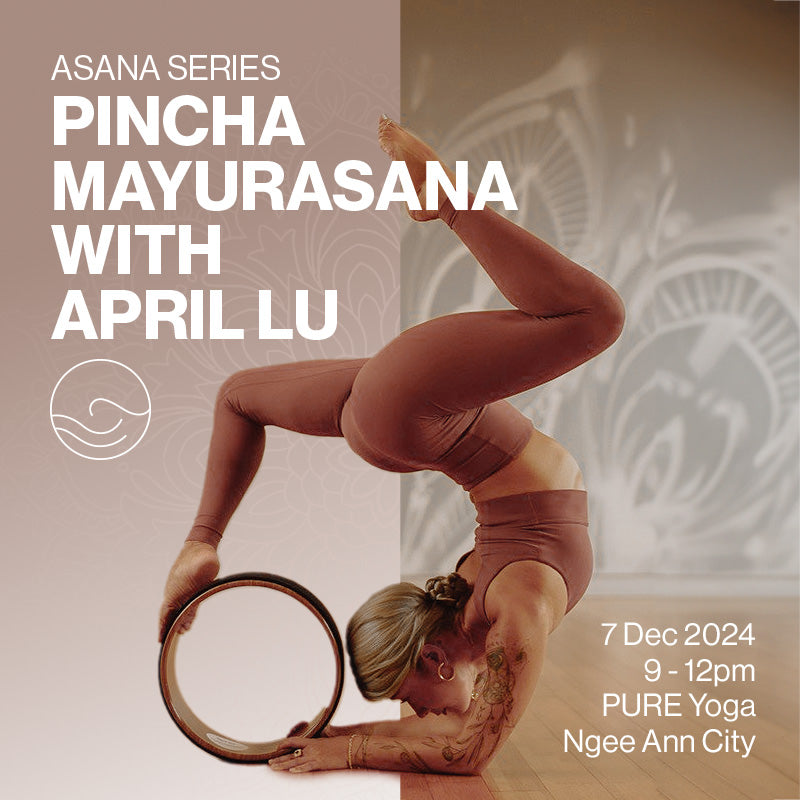 Asana Series: Pincha Mayurasana with April Lu