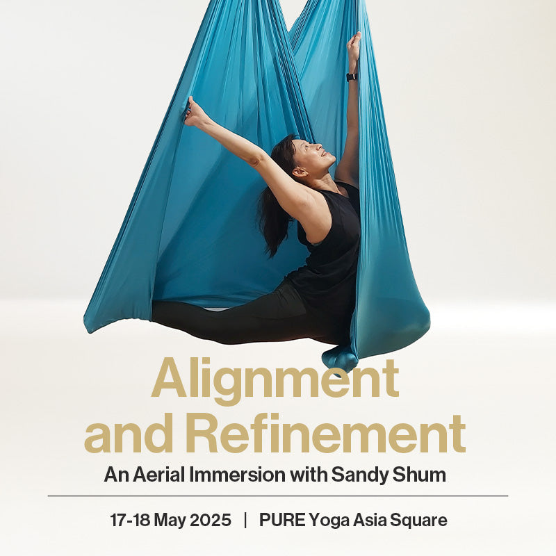 Alignment and Refinement: An Aerial Immersion with Sandy Shum