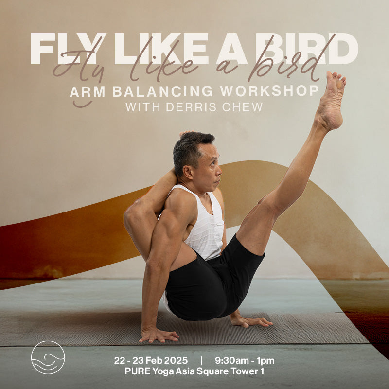 Fly Like a Bird: Arm Balancing Workshop with Derris Chew