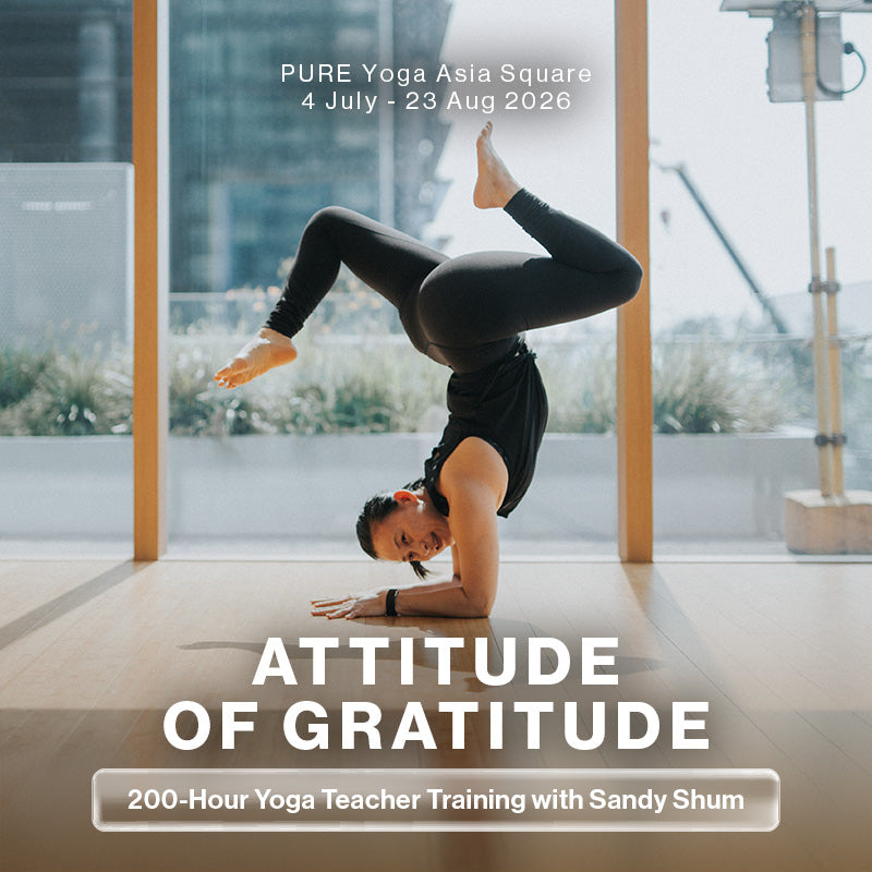 Attitude of Gratitude: 200-Hour Yoga Teacher Training with Sandy Shum